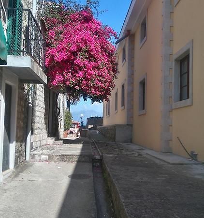 Nataliia Twister Apartment Budva Kültér fotó